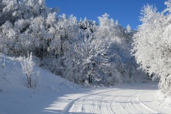 snow winter